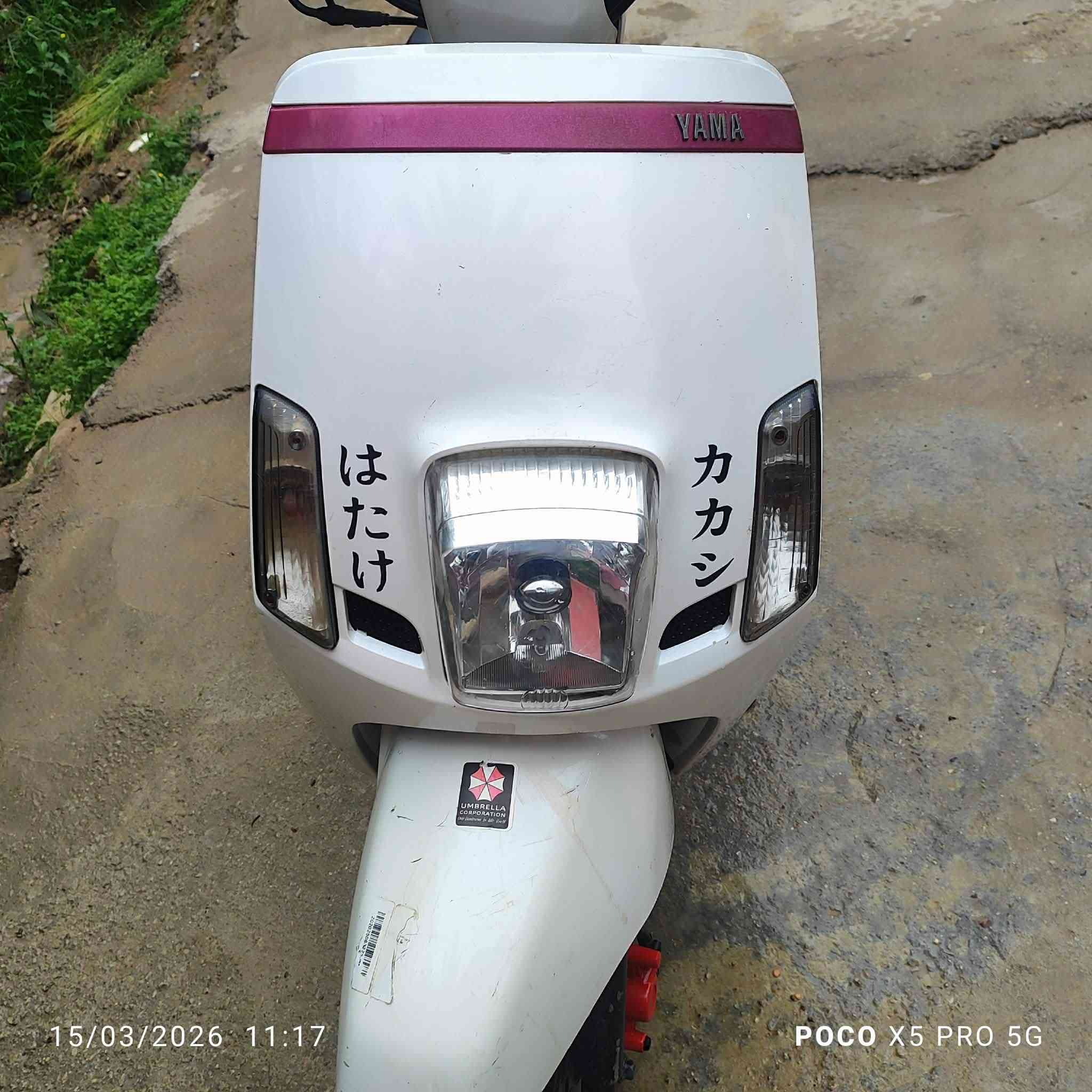 مصطره كفاله عامه الدراجه رنبه الاستفسار خاص ***********اوتساب ترهم مراوس حسب القناعة
