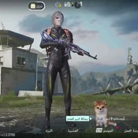 مراوس • ٢٦١ شدات • ٢٤ سيزن مشحون