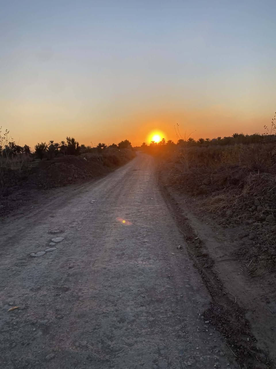 السلام عليكم 

اللهم صل على محمد وال محمد 

يوجد لدينا قطعة أرض للبيع  

عنوانها. الشوملي البراكيه 
جدول حسان  تبعد عن الشارع العام 
كيلو متر واحد 

وشارعها قيد التنفيذ 
ارض زراعيه وحلوه 
بيها ماء وكهرباء 

المساحه (20) دونم 

طابو زراعي سند 25 تحويل مباشر بأسم المشتري

الارض تنباع كامله  مو قطع

للاستفسار الاتصال على الارقام التالي

***********يوجدوتساب
