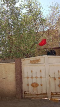 بيت حلة • طابو زراعي • ١١٠م