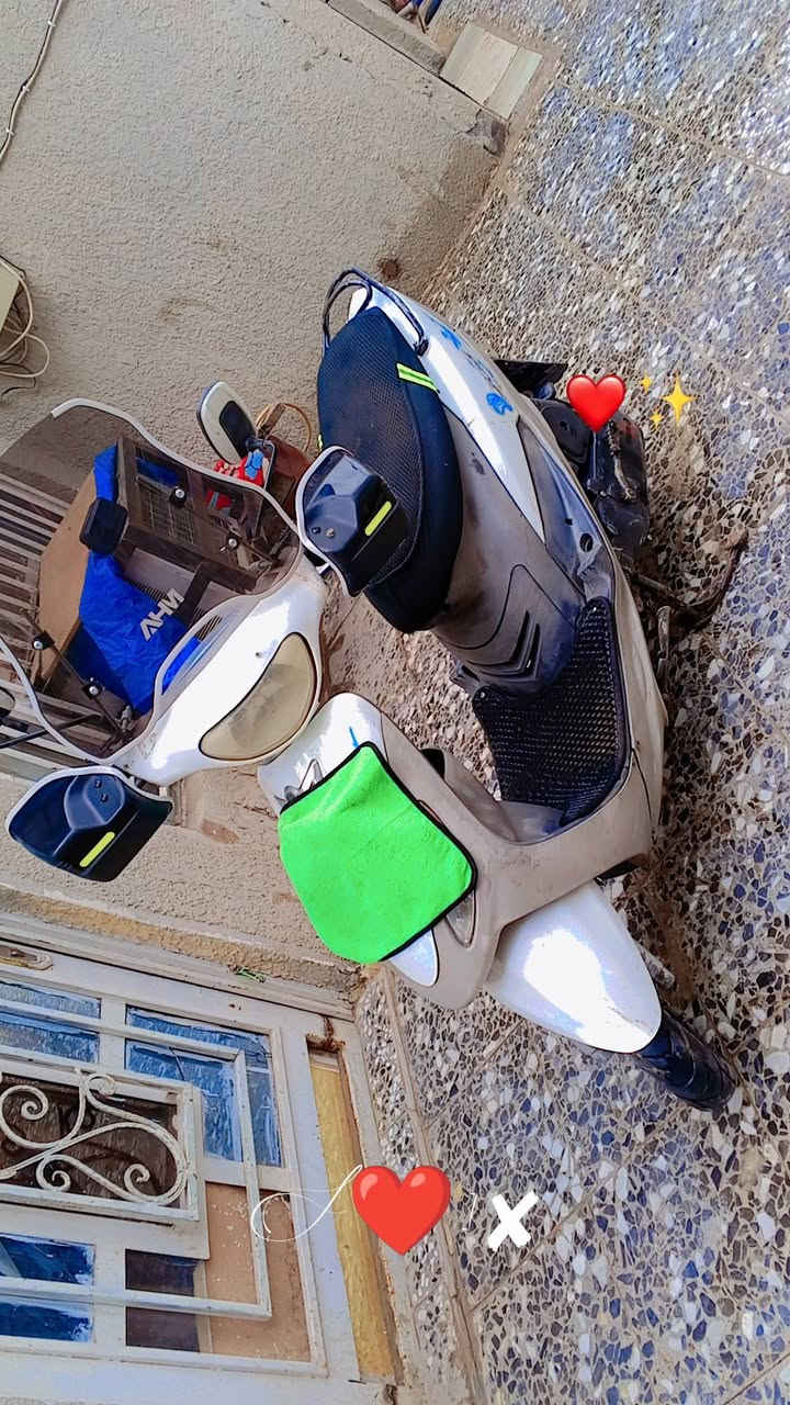 سلام عليكم ورحمة الله وبركاتة درجه ماكس منغولي.. بوشه 49.. درجه نضيفهه.. السعر 650.. بيهه مجال... اهذا الرقم ***********
... عنوان بغداد
