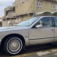 دولفين • ١٩٩١ • رقم كربلاء