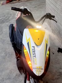 ماكس • شرط • حزيران