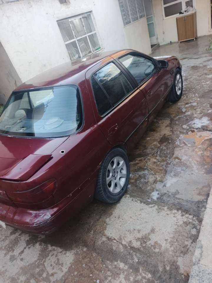 کیاسیفیا
 94
سه نوی پلاستیکی جنوب به شرتی اولیات
موسو براوه به شرت
 بو فروشتنو گورینه وه باقیشم هیه به شتیک زور له وی خوم باشتر شوین چوارقورنه
*********** السليمانية, العراق
