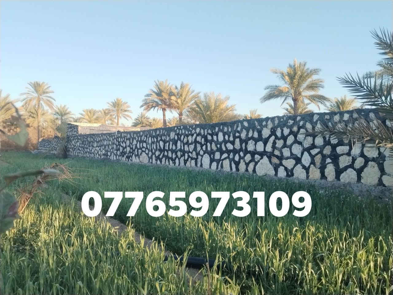اللهم صلى على محمد وال محمد🧿🪬
كل ما يخص بناء الحجر من تطبيك بحيرات والاسيجه وتطبيك الممرات وبناء البيوت 🏠🏠🏠
وباسعار مناسبه جدا. وبكادر متميز👷‍♂️👷‍♂️
والعمل في جميع المحافضات
للاستفسار اكثر الاتصال عل رقم تالي

***********
او مراسلة البيج💫
