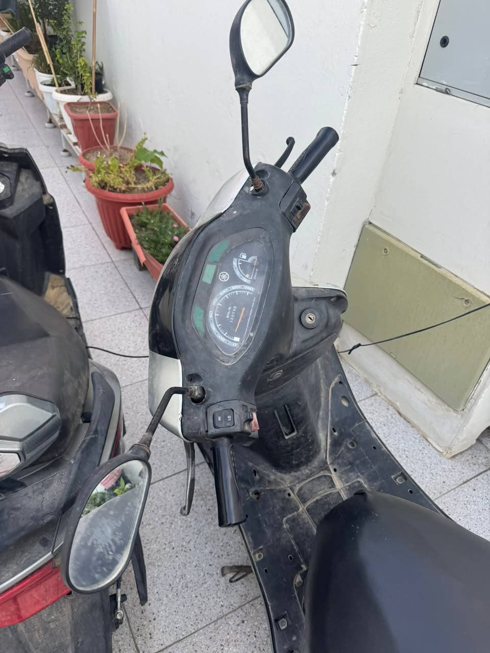 للبيع سكوتر بحالة جيدة
الكهربائيات كلها شغالة وبحالة ممتازة، والهيكل وضعيته جيدة كما هو موضح بالصور.
المحرك كايم ويحتاج تصليح أو تبديل حسب رغبة المشتري السعر مناسب التواصل على الرقم ***********
