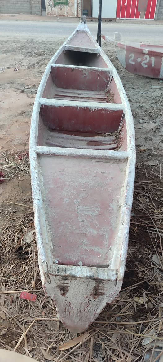 سلام عليكم بلم للبيع طول 13المكان البصرة الدير السعر 450وبي مجال قليل ***********
