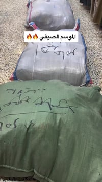 الموسم الصيفي • ملابس صيفية