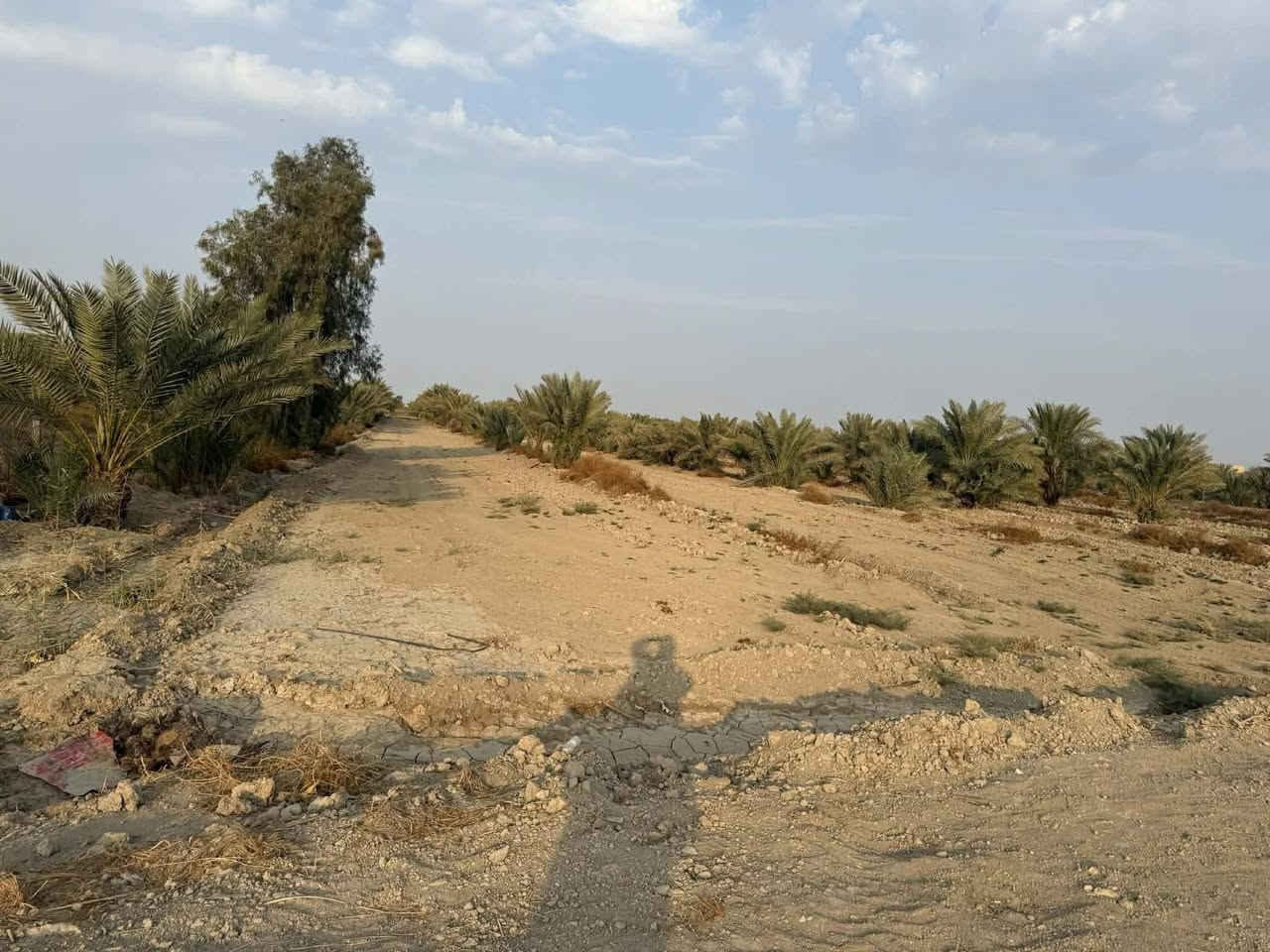 على بركة الله يوجد ارض 3دونم بيه 80 نخله متنوع تبعد عن السيطرة عفك و سومر  1 كيلو الواجة 24 نزال 250 والعرض اكثر من 40 وبيه فضلة 500 عن الشارع و تنسقي سقي مباشر من القناة  اي استفسار  اكثر اتصل ***********
