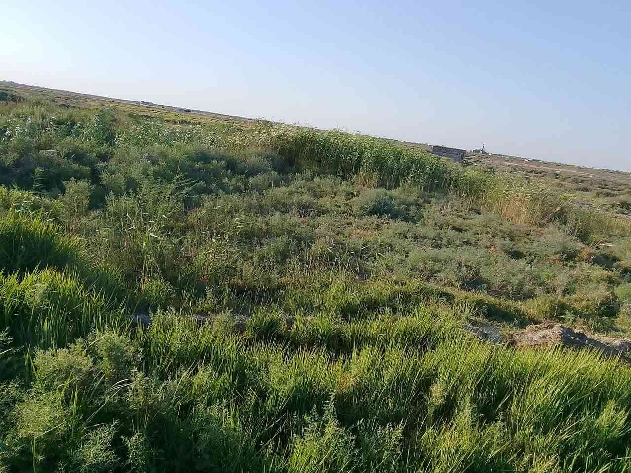 سلام عليكم ارظ زراعيه للبيع عله الشارع العام قريبه عله الولايه 30دونم استفسار تصال ***********

