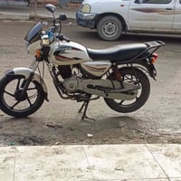 بوكسر 2020 • أوراق أصلية • مكفولة