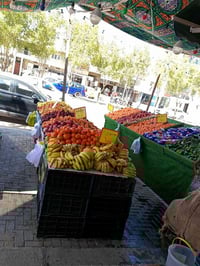 علوه خيرات الجهاد • فواكه وخضروات طازجة • تجهيز مطاعم وفنادق