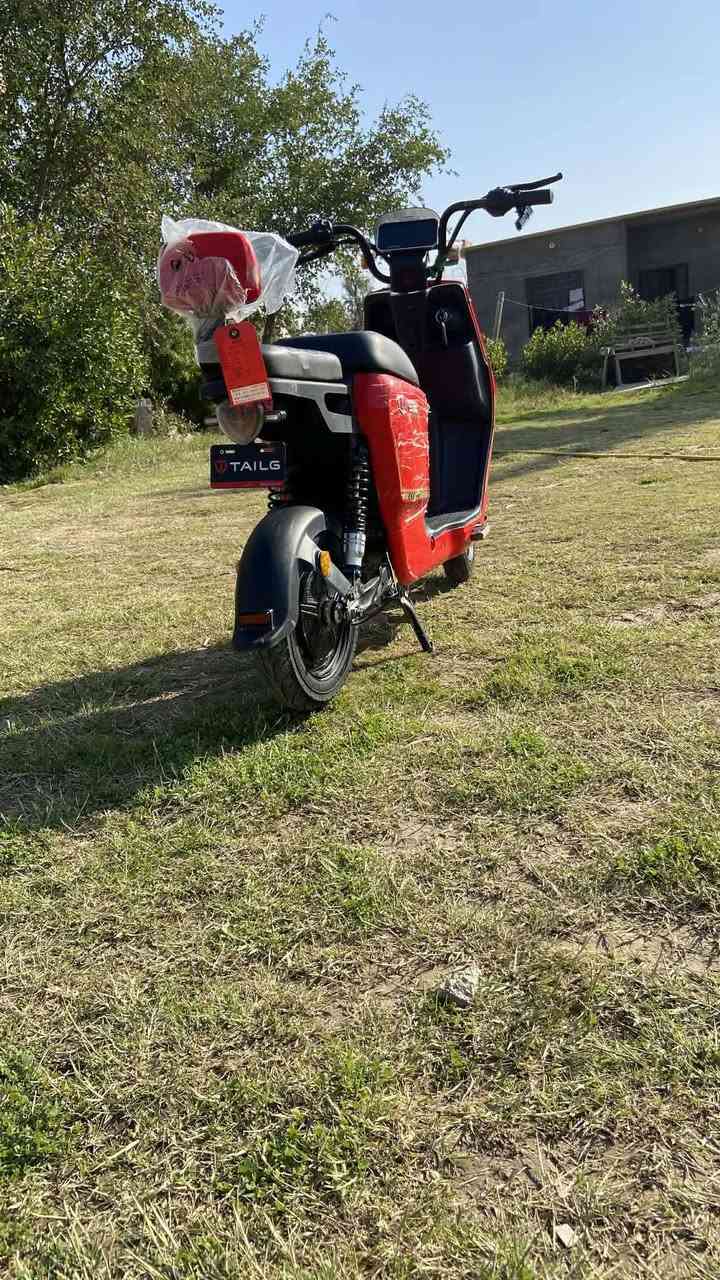 السلام عليكم ورحمت الله وبركاتو دراجه شحن للبيع نوع الدراجه (تالج)  6بطاريات   الوقت 60كيلو متر    متكونه من ثلاث سرع دراجه نضيفه اوحلوه بمعنه الكلمه موديل الدراجه 2025   ....(ملاحضه الدراجه بيه عطل في الويل الخلفي  هوه الحساس العطل بسيط جدن) السعر  (550$) اوبيه مجال  حك الجيه. المكان بابل الحمزه الغربي.  الاستفسار ***********
