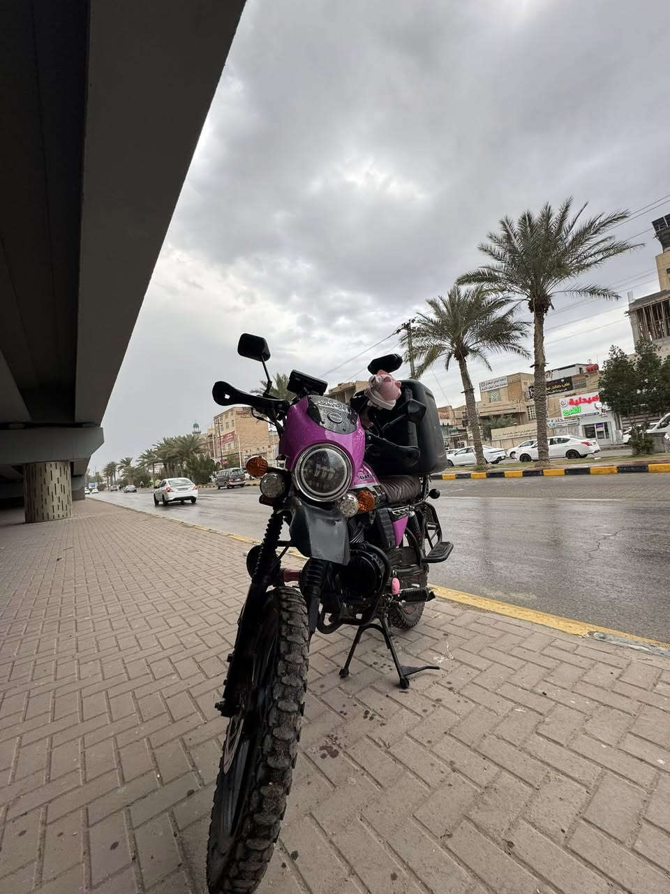 دايون موديل ٢٠٢٣
دراجة نضيفة ومرتبة على يدي معدل ورزانة تخبل تجي وشوف بعينك
مراوس بدايون ٢٠٢٥ او ٢٠٢٦ حتيلو ايي فرق
ودراجة ما عايزة 
هورنات بوش / شاشة كار بلي  / شاحنة / ستاند كلاص / زنون بل وجه زوج / وبعد زنون هم بل وجه زون ثنين ستاندات 
على هاي نضافة شرط مكينة ما مفيلسة طالعة ٢٠٢٣/١٢بشهر ١٢
***********              /             ***********
