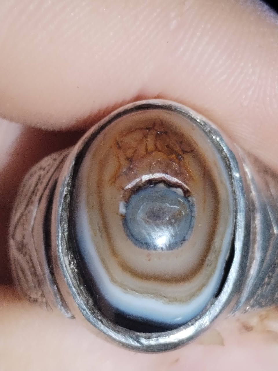 بقريه


**إذا كنت صاحب هذا الإعلان وتريد حذفه لأي سبب، رجاءا أرسل رسالة إلى الدعم الفني**