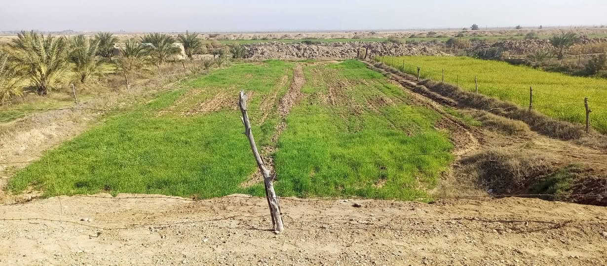السلام عليكم.  دار البيع  قضاء الكحلاء... منطقة اعتماد...... مساحه دونم.... بيت كامل  غرفتين +صاله +مطبخ +ستقبال +ساحه  +حديقه + جرف شط   +كل الخدمات متوفره  ماء  +كهرباء  +تبليط
مدارس. الاستفسار اكثر  اتصال على رقم تالي  ***********
@إشارة
السلام عليكم.  دار البيع  قضاء الكحلاء... منطقة اعتماد...... مساحه دونم.... بيت كامل  غرفتين +صاله +مطبخ +ستقبال +ساحه  +حديقه + جرف شط   +كل الخدمات متوفره  ماء  +كهرباء  +تبليط
