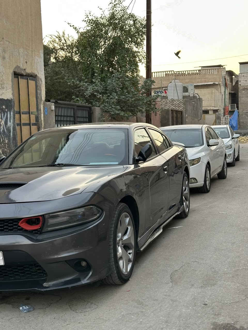 السلام عليكم جاجر  15اصل سنوية بسمي توه مجدده مشروع وطني كير مكينه تبريد خير من الله حدادية جديدة تخمً تاير باتري ادامه السياره متعوب عليها هواي السياره داخله سرقه 4قطعه مفتوحه ورجعات نفسهن سعرها 165  مكاني بصره معقل


**إذا كنت صاحب هذا الإعلان وتريد حذفه لأي سبب، رجاءا أرسل رسالة إلى الدعم الفني**