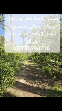 بستان طابو صرف ثلاث دوانم ونصف كافة الخدمات الموقع ديالى  المنصورية ال...