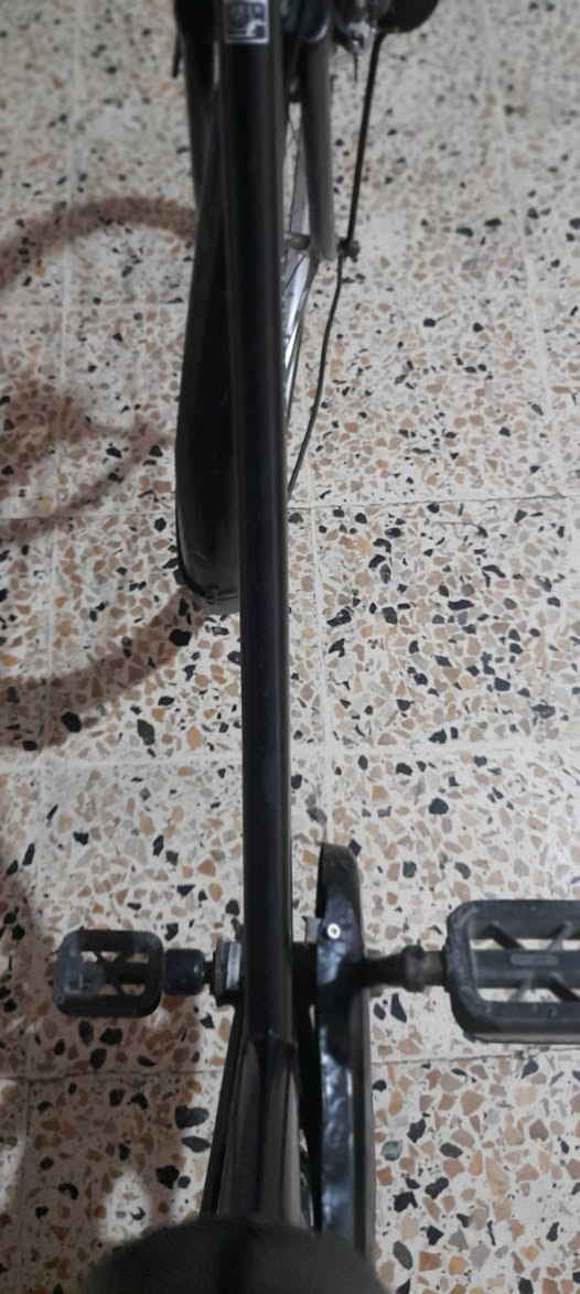 السلام عليكم بيسكل البيع نضيف 09٪


**إذا كنت صاحب هذا الإعلان وتريد حذفه لأي سبب، رجاءا أرسل رسالة إلى الدعم الفني**