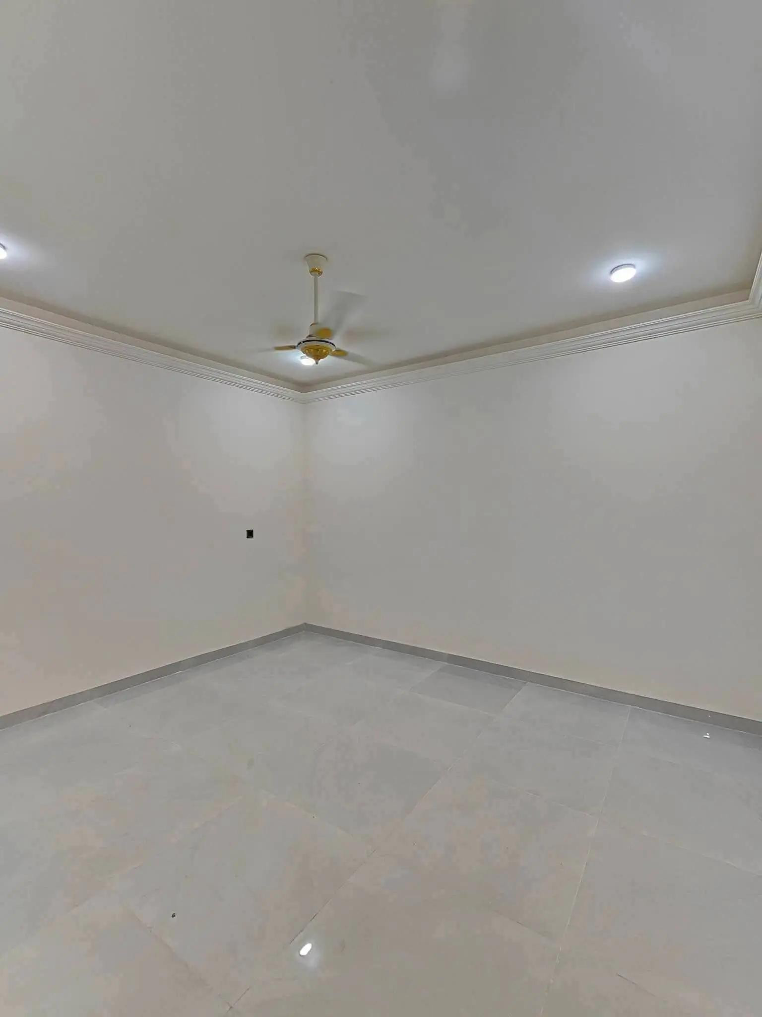 دار اللبيع في كربلاء حي الميلاد مقابل الدره 100متر طابقين طابو صرف تسجيل عقاري #الاستفسار #اتصل#واتساب *********** *********** *********** 
