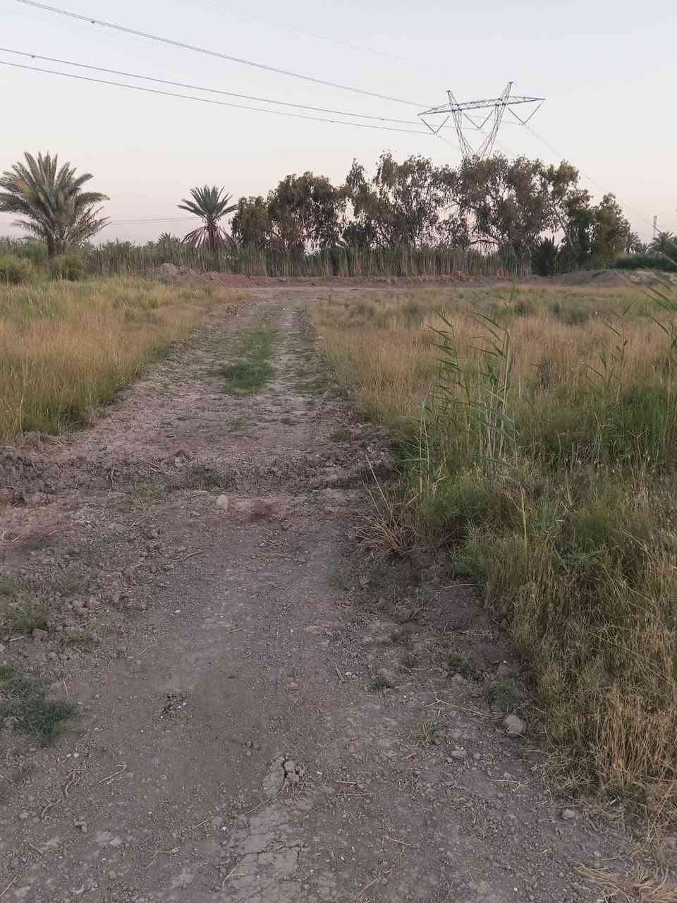 فرصه مميزة لتملك عقاراً 🏡
🔹مساحه العقار دونم ونص 

🔹جنس العقار : طابو ملك صرف 

🔹خدمات متكامله 

🔹الموقع اطراف الشعله 

الاستفسار عن السعار والتفاصيل خاص
او الاتصال على الرقم (‭***********‬)

