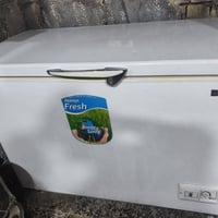 مجمدة • رايده ١٧٥ • ما بيها نقص