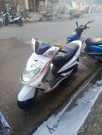 سكنس فحل • نضيفه • كفاله عامه