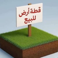 المشراكة الاولى • قطعة ٢٣٦ • ٣٠٠م