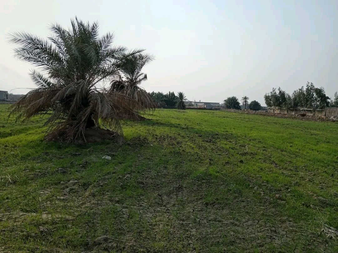 دونمين طابو زراعي سند 25
أرض مزروعه حنطه يم معمل الأسمنت الكوفه بشارع الكم سعر الدونم الواحد 35 وبي مجال للاستفسار الاتصال على الرقام
***********
***********
