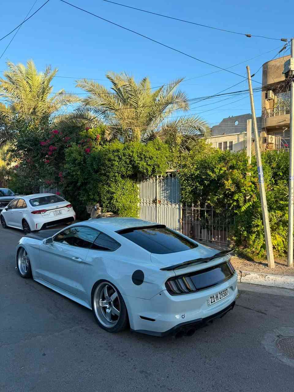 سلام عليكم
ارخص موستنك gt تراك بكج 
رايدهة ب 115 قفللل لان متوازي كلش
موستنك gt 5.0 تراااك بكج كير عااااادي 2016 فول هوائيات 

السيارة كلشش قوية 

عليهة هدرز 
دبل اكس بايب 
دبات ريمونت
شوتة air aid
ثلاجة gt 10 نمر
بلكات ريسنك 
اكسل 3.73 بلادي
صوتهة رعيد السيارة

عليهة جكات

بك لايت اوربي متغير
لايت امامي متغير
منضومة لايت سعرهة 650 الف
بنيد فايبر rtr
دفيوزر خلفي rtr 
شبابيك rtr
دشبول مال خليجي اصلي مو تجاري تفصيخ 7 الوان
لانش كونترول من ضمن الاعدادات مال سيارة
تخم تاير جديد

السيارة مصبوغة عام جمالية وموجودة صورهة قبل الصبغ
حادثهة بنيد وجاملغ جهة السايق والجاملغ الخلفي العكس السايق
 
نقوصات السيارة 
النمرة الخامسة تفلت تصليحهة 200$ بل طيران وباقي النمر كلهة تجي طبيعي مابيهة اي مشكلة 
وتكعيد للبجم

مكاني بغداد الاعظمية
***********
