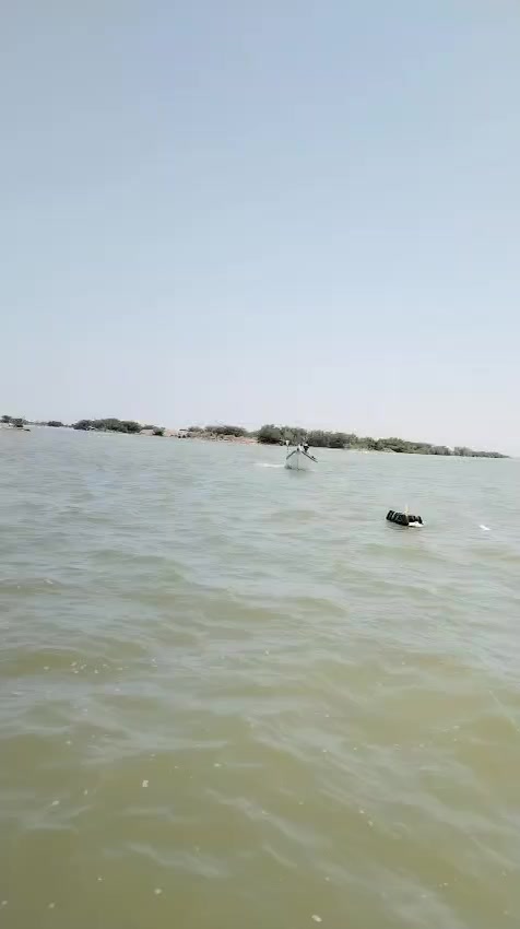 سلام وعليكم بانوشه 15ذراع العرض متر وعشره ومكينه 40 هايدي مشتغله شهر البيع مكاني بصره كرمة علي السعر 4ونص قفل متواجد عل فيس


**إذا كنت صاحب هذا الإعلان وتريد حذفه لأي سبب، رجاءا أرسل رسالة إلى الدعم الفني**