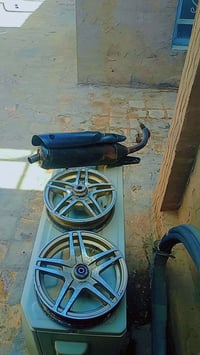 صالنصه صجميه لبيع اصليه ويل نجمه اصلي لبيع فد الوره طاك ول امامي مابي ...