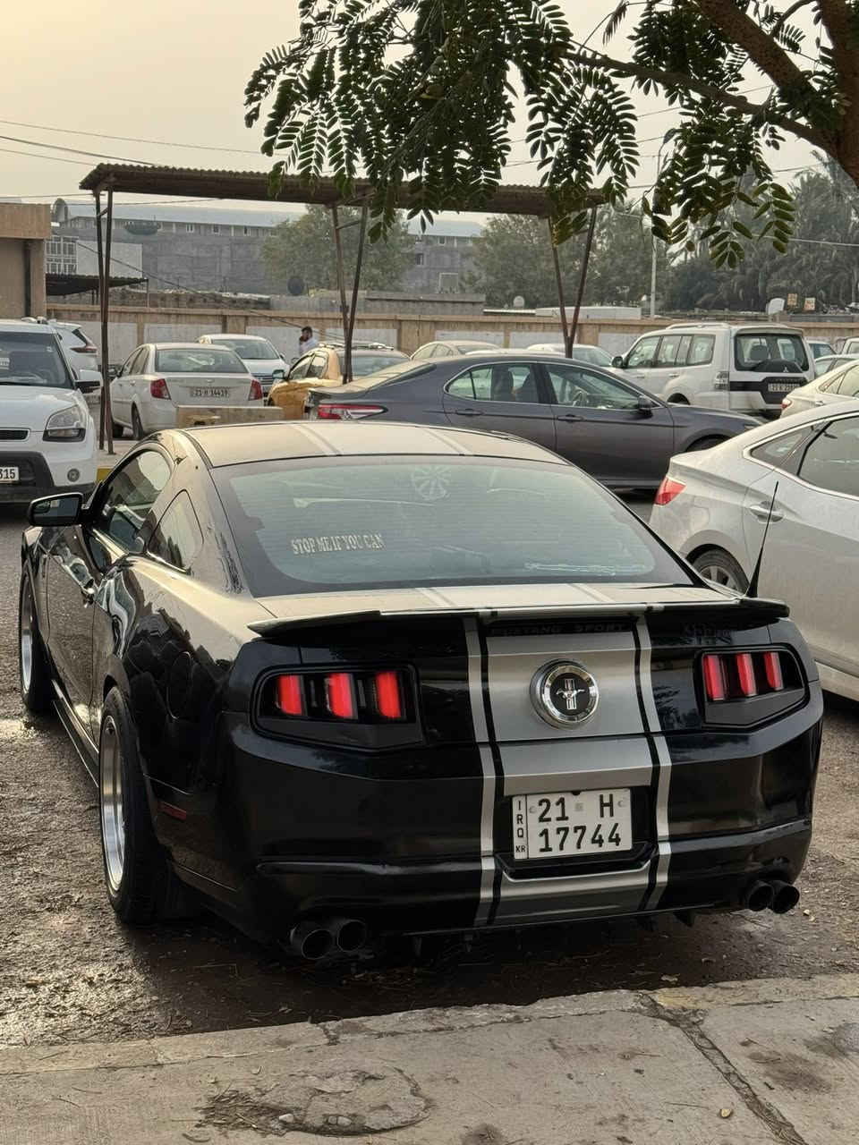 السلام عليكم 
موستانك 2012 محدثه 2014 
سياره تخبل گير ومحرك واكسل وكهربائيات كله بشرط ( المحرك سته سلندر المرغوب 3700) 
رقم وسنويه جديد باسمي شرط تحويل
عليها تزويد وكماليات مبين بالصور شكد نصبتها بالواقع احلى من الصور 
بيها 3 قطع امامي مال تحديث بشرط بدون اي دواخل السلام عليكم 
موستانك 2012 محدثه 2014 
سياره تخبل گير ومحرك واكسل وكهربائيات كله بشرط ( المحرك سته سلندر المرغوب 3700) 
رقم وسنويه جديد باسمي شرط تحويل
عليها تزويد وكماليات مبين بالصور شكد نصبتها بالواقع احلى من الصور 
بيها 3 قطع امامي مال تحديث بشرط بدون اي دواخل 
نضام abs وجميع كهربائيات شغاله مابيها برغي نقص 
السعر 88 وبيها مجال
مكاني ديالى / خانقين
***********
