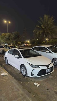 كورولا ليميتد • ٢٠٢٤ • ٨٠٠٠ كم