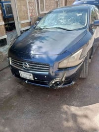 ماكسيما • ٢٠١٠ • بغداد