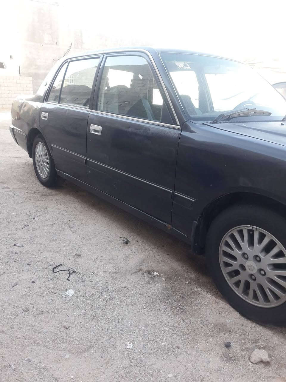 رأس ثور تكم ماكصوصه بيه ارقام وسنيوه علي شاصي متومه ٣٥وبيه مجال رقمي مكاني بصره كرمت علي رقمي ***********
