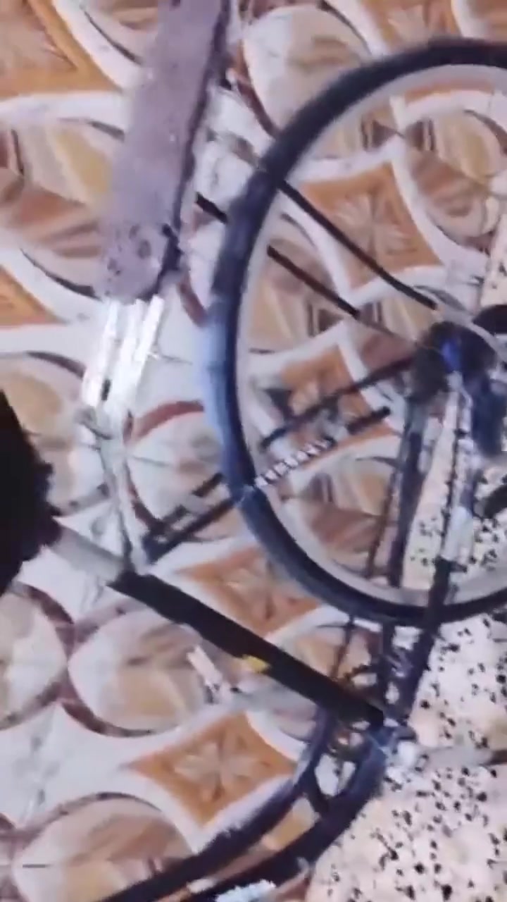 سلام عليكم بايسكل البيع البايسكل كلشي مابي ولا اي نقص الشه حيه مالته والسعر 25 الشراي يجي خاص او مرواس اراوس هاذه رقمي بي بس واتساب تصال عله الخط واكف بس واتساب ***********
