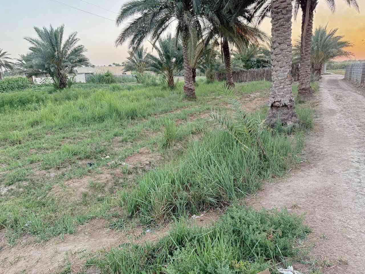 السلام عليكم دونم للبيع يحتوي على دار حديث البناء 
في طريق الجبلاوية تحويل مباشر بسم المشتري سند 25

***********
