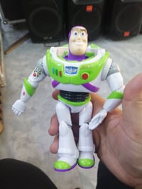 باز • طيور جارحة