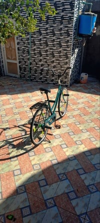 باسكل • موديل 21 • الزيناويه