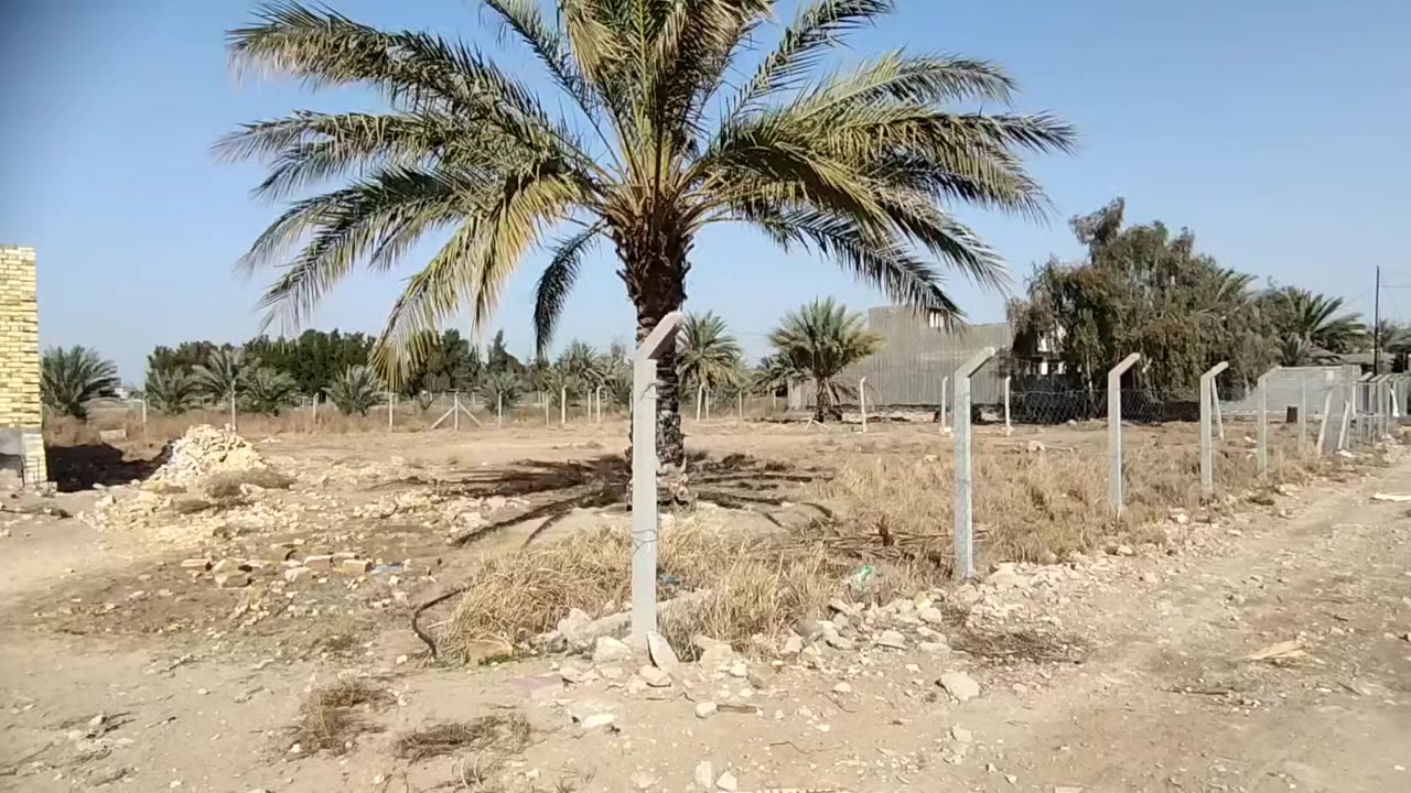 سلام عليكم ورحمه الله وبركاته قطعة 
1250متر 
طابو زراعي سند٢٥ تحويل مباشر بأسم المشتري 
الوجه 31متر 
ثاني قطعة عن الشارع قرب العلويه شريفه بنت الحسن قرب معمل الحلويات 
للستفسار الاتصال على الرقم ***********
