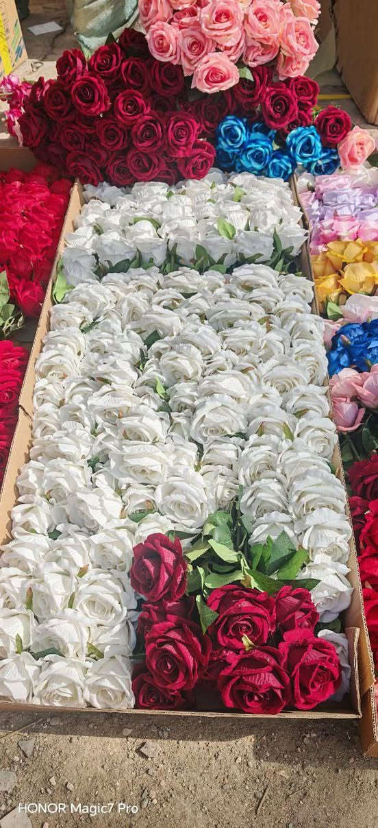 توصيل لكافة المحافظات العراقيه


**إذا كنت صاحب هذا الإعلان وتريد حذفه لأي سبب، رجاءا أرسل رسالة إلى الدعم الفني**