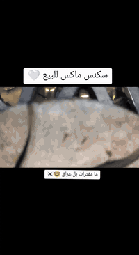 كلجات رياظي سكنس عام وماكس شراي يتواصل يتصل ***********كلمن وسعره
