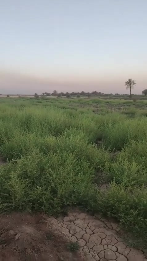 سلام عليكم يوجد دونم وربع سند ٢٥ بسمي على شارع لبنافع كامل لخدمات تبعد عن شارع العام ١٠٠ متر وترهم تقسيم قطع شارعه الفرعي ١٢ متر كله واجهيه *********** يوجد واتساب
