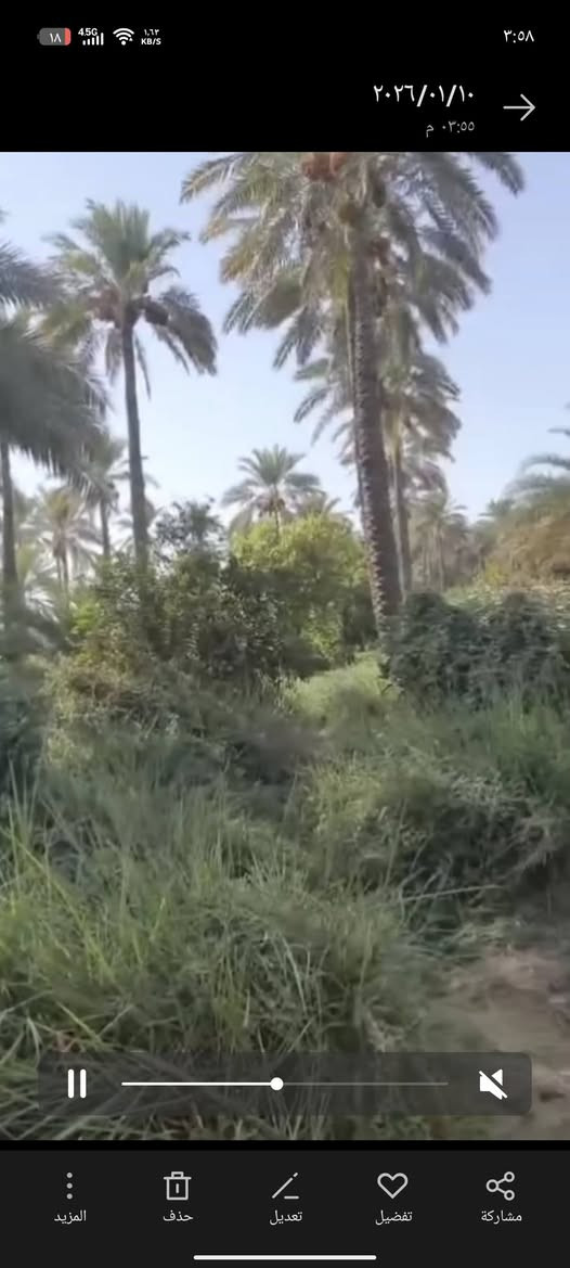 المدائن )
بيع مستعجل لاضيعه من اديك
توجدارض زراعيه مساحه( نصف دونم ) طابو  ملك سند ٢٥  الارض فارغه وموقع جميل وصالح للزراع
يصلح شالي موقع  وكل اصحب المزارع بهذا الموقع تعال)  .
  اقل عرض حاليا  العنوان بغداد المدائن     (( الأسعار في صعود لكون الارض قريب عليها جسرين حاليا في المراحل الاولى للتشيد وتم نصب ركائز للجسرين واحد متجه للدوره باتجاه الجعاره والآخر  لمركز بغداد لفك الاختناق المروريه في مجمع شقق بسمايه والمنطقه عامه
   ثاني يوم فتح بيان للمشتر ي في طابو المدائن
للاستعلام الاتصاى ***********  بي واتساب وكيل صاحب الارض ...... 

      (بارك الله بعمل الخير ) بغداد, العراق
