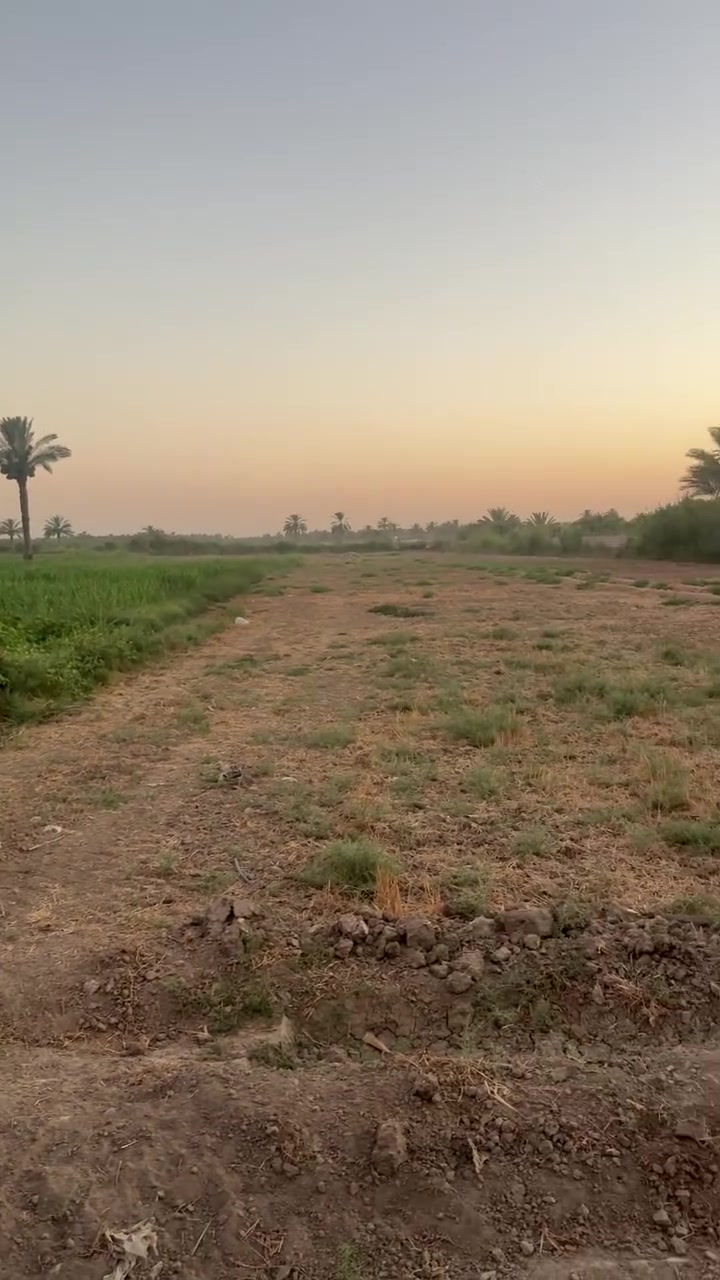 الأرض طابو 25 للتواصل على الواتساب
***********
