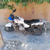 ساو موديل 24
