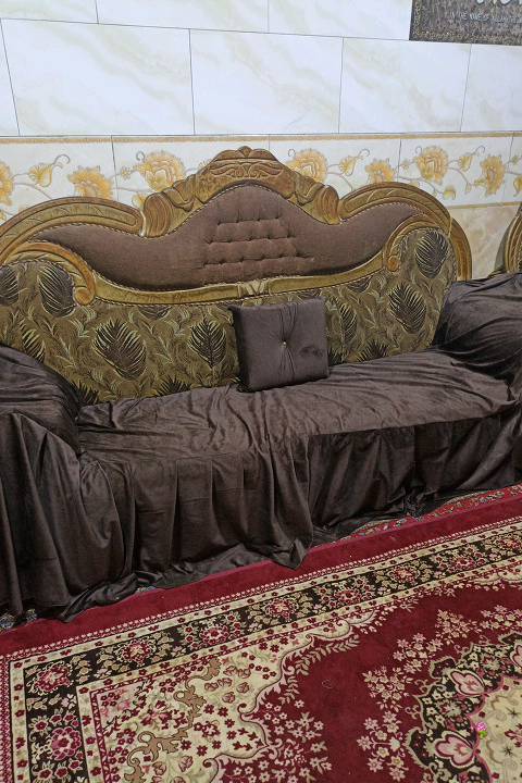 تخم مستعمل للبيع ١٣ نفر