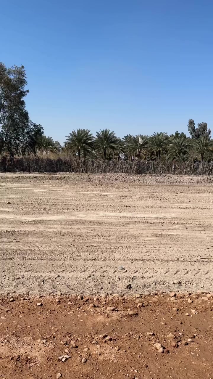 عقارات رويد الجميلي
***********…***********
باب الحسين. مقابل مركز شرطة الفيحاء
