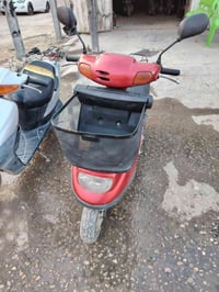 بطه • ٢٠٠٣ • شرط الفحص